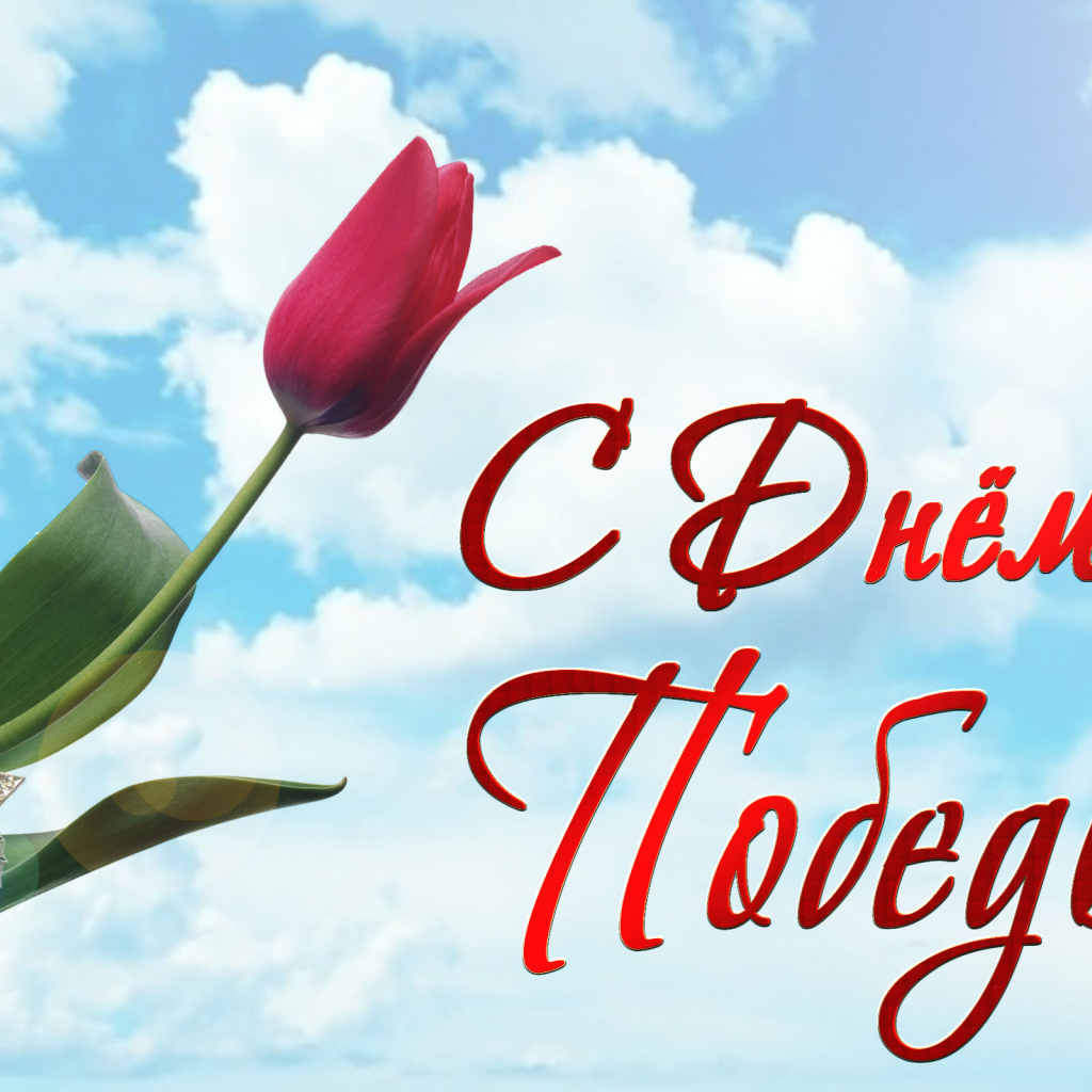 Звезда победы с  тюльпаном на праздник 9 мая