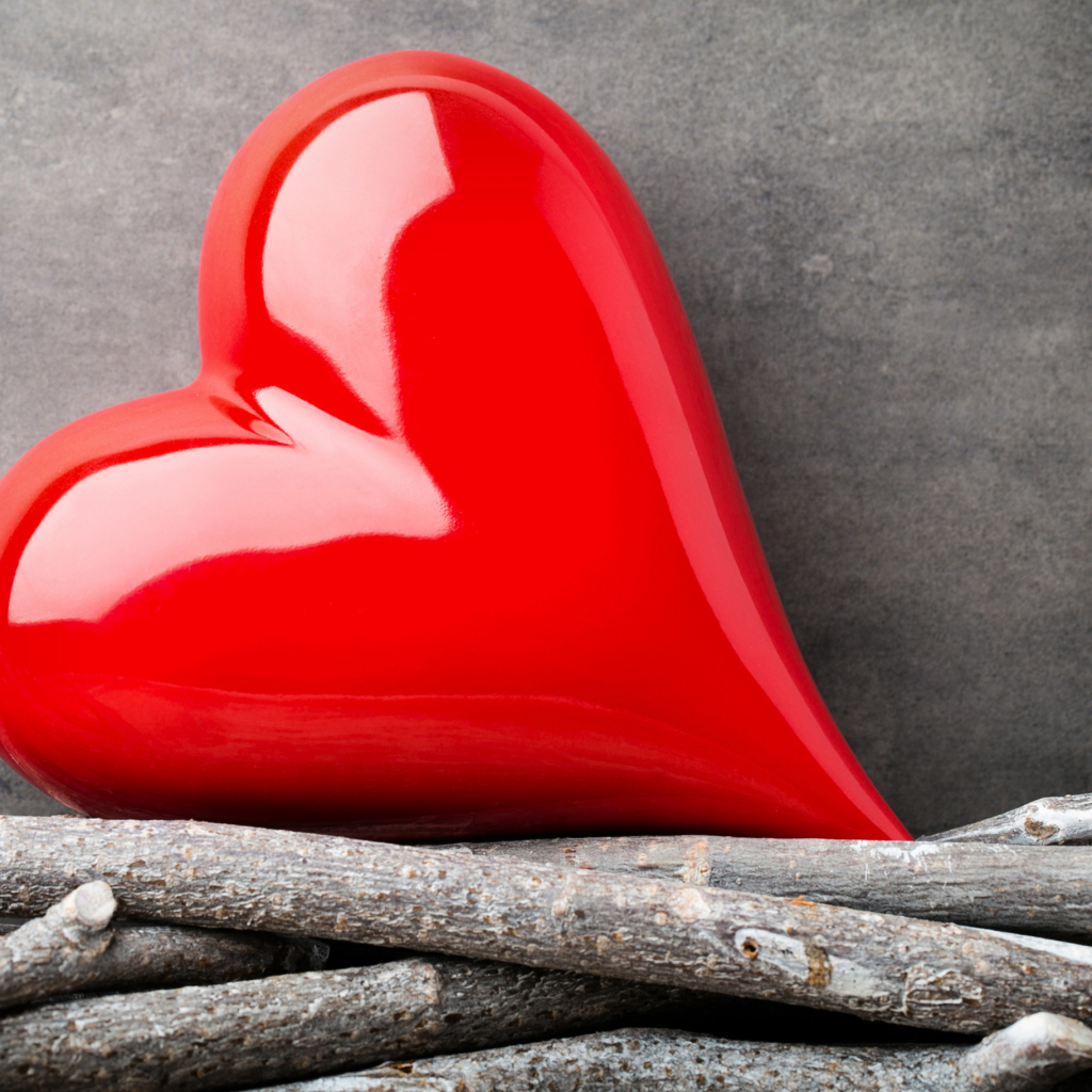 Большое красное сердце лежит на ветках на фоне серой стены