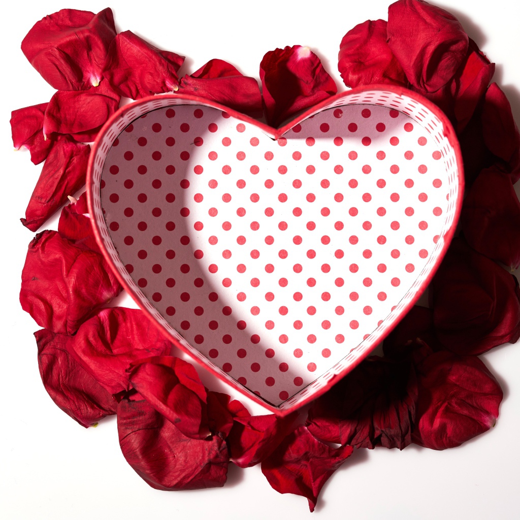Подарочная коробка в форме сердца с лепестками красной розы на белом фоне