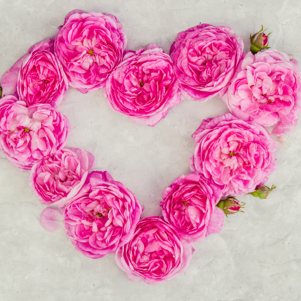 Сердце из розовых роз на сером фоне