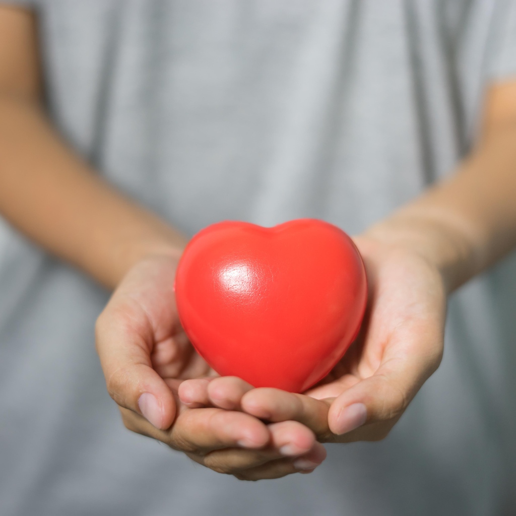 Красное сердце в ладонях 