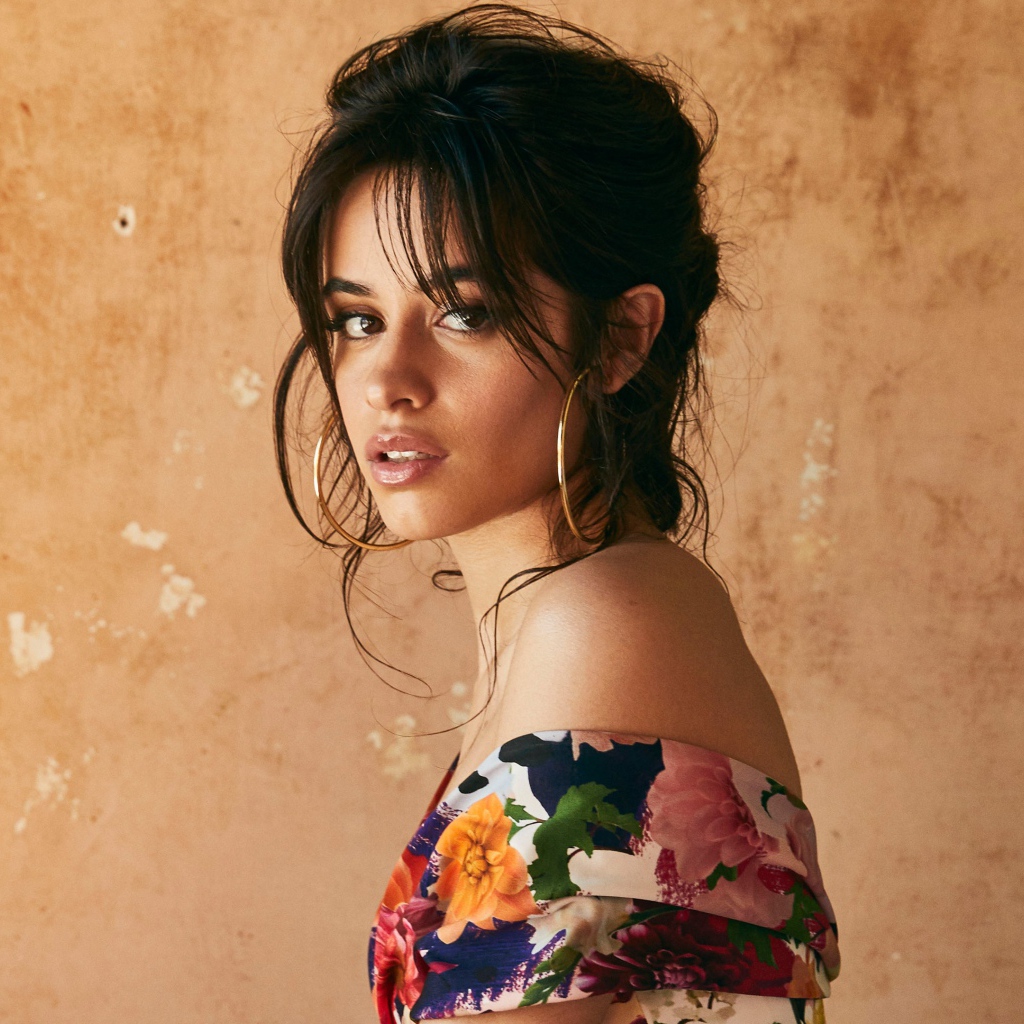 Красивая кареглазая брюнетка, певица Камила Кабельо