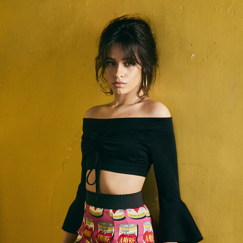 Красивая певица Камила Кабельо у стены