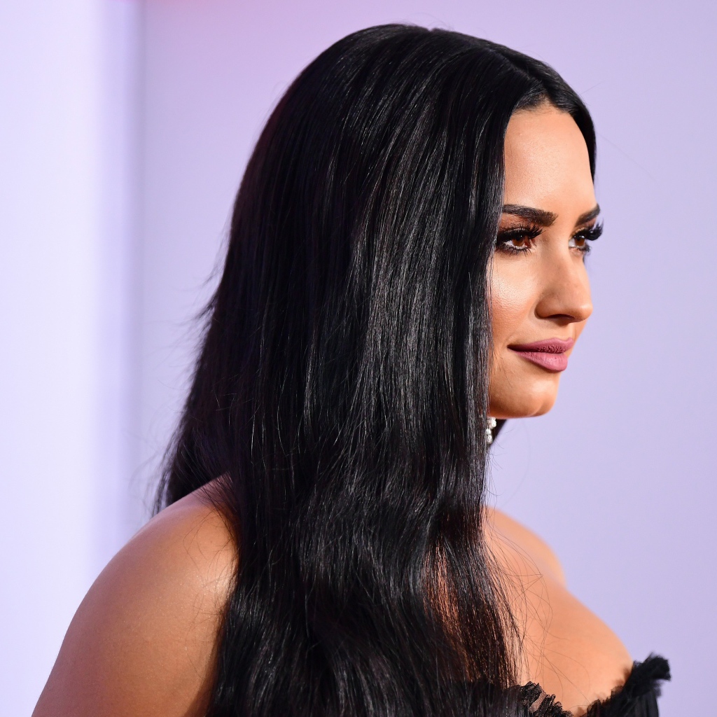 Длинноволосая брюнетка певица Деми Ловато