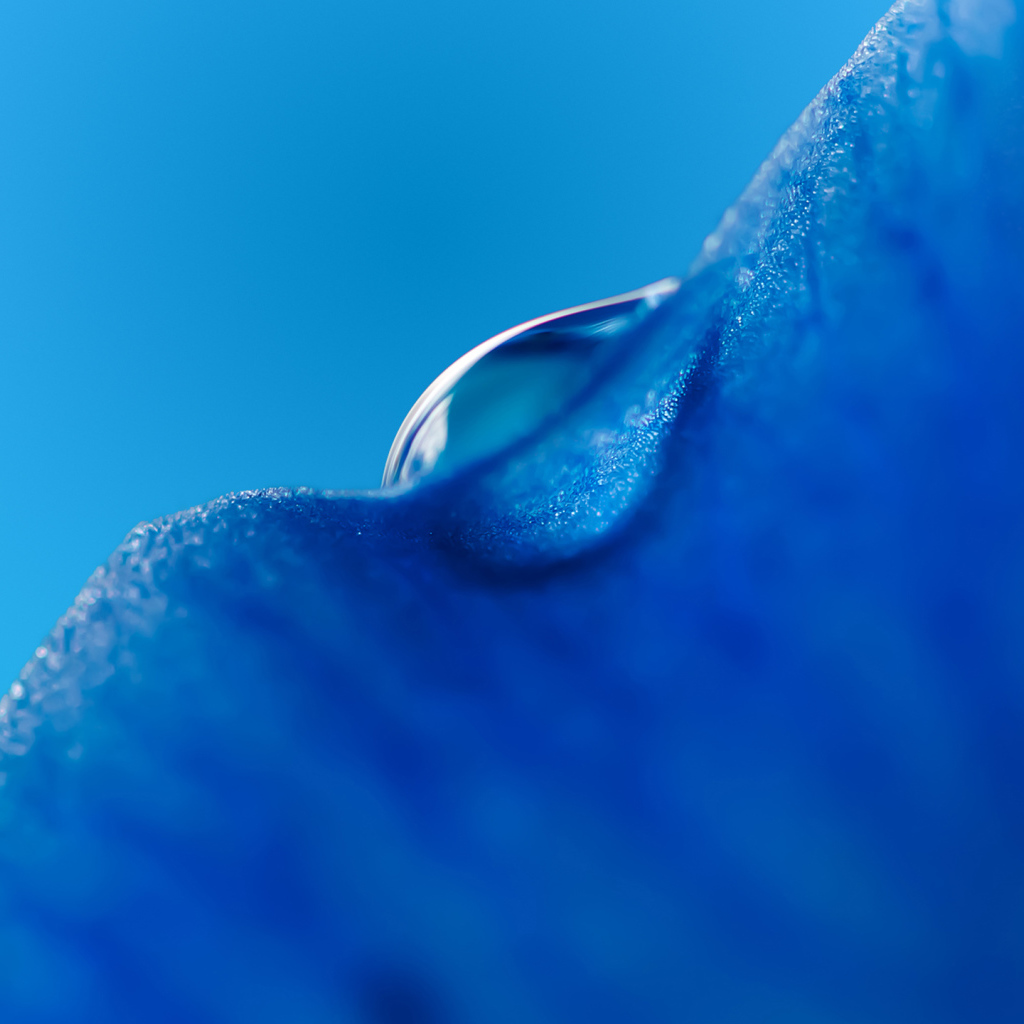 Капля воды на льду на голубом фоне