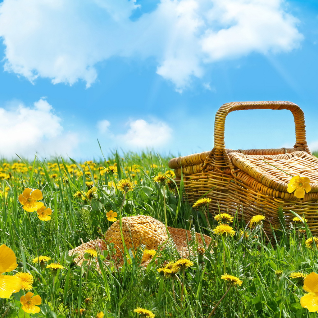 Корзина и шляпа лежат на зеленой траве с желтыми цветами