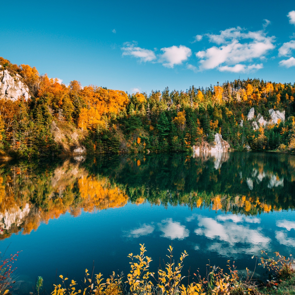 Голубое небо и лес отражаются в воде чистого горного озера
