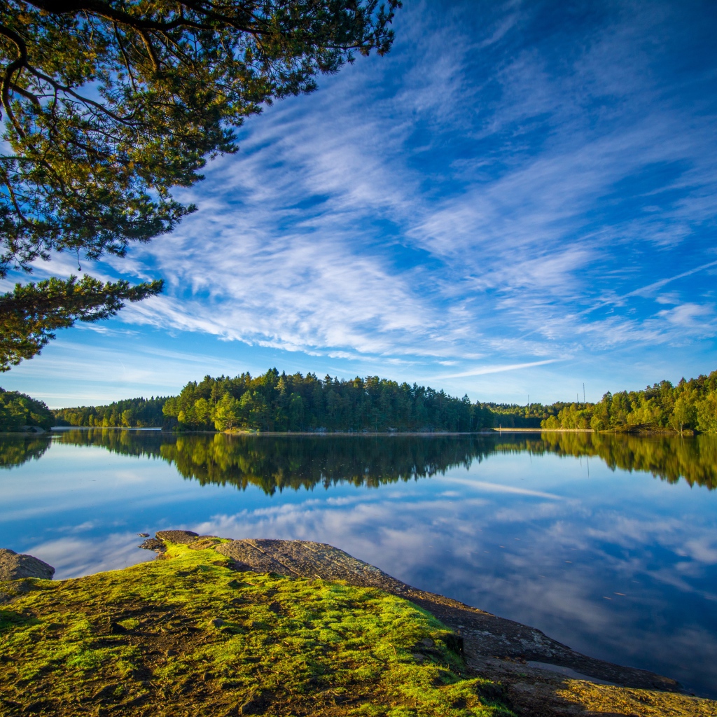 Голубое небо и зеленые деревья отражаются в воде
