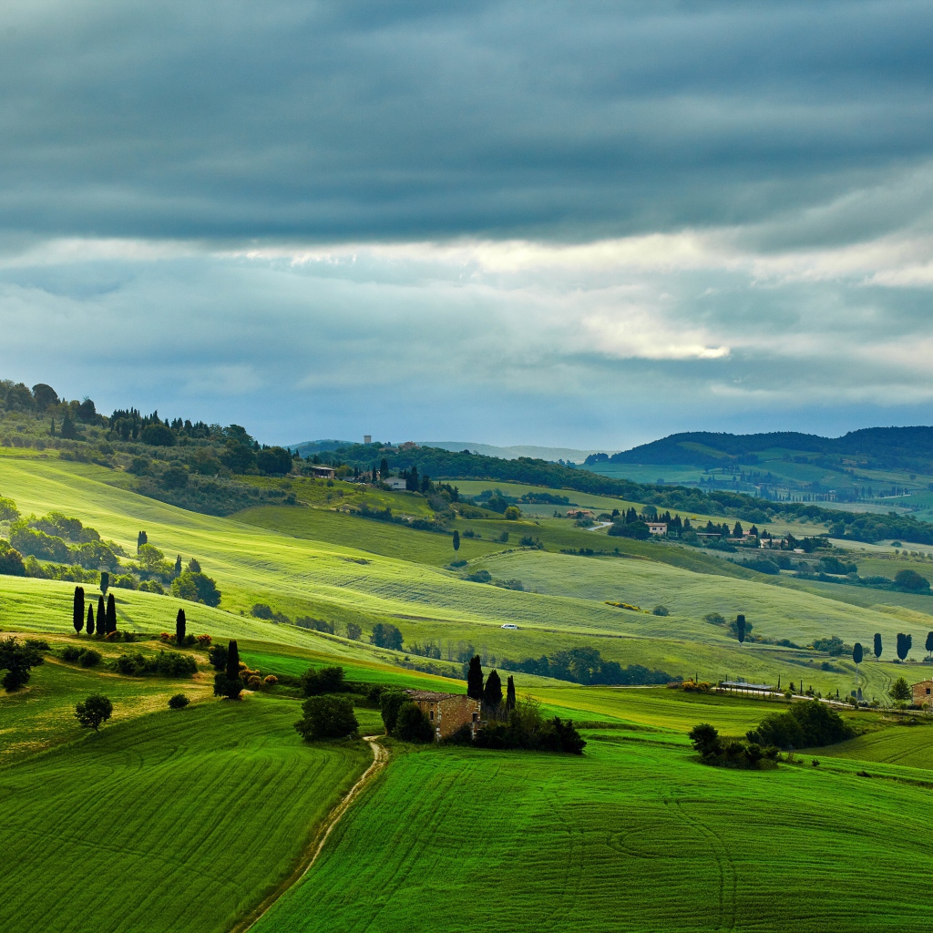 Зеленые поля под небом с грозовыми облаками