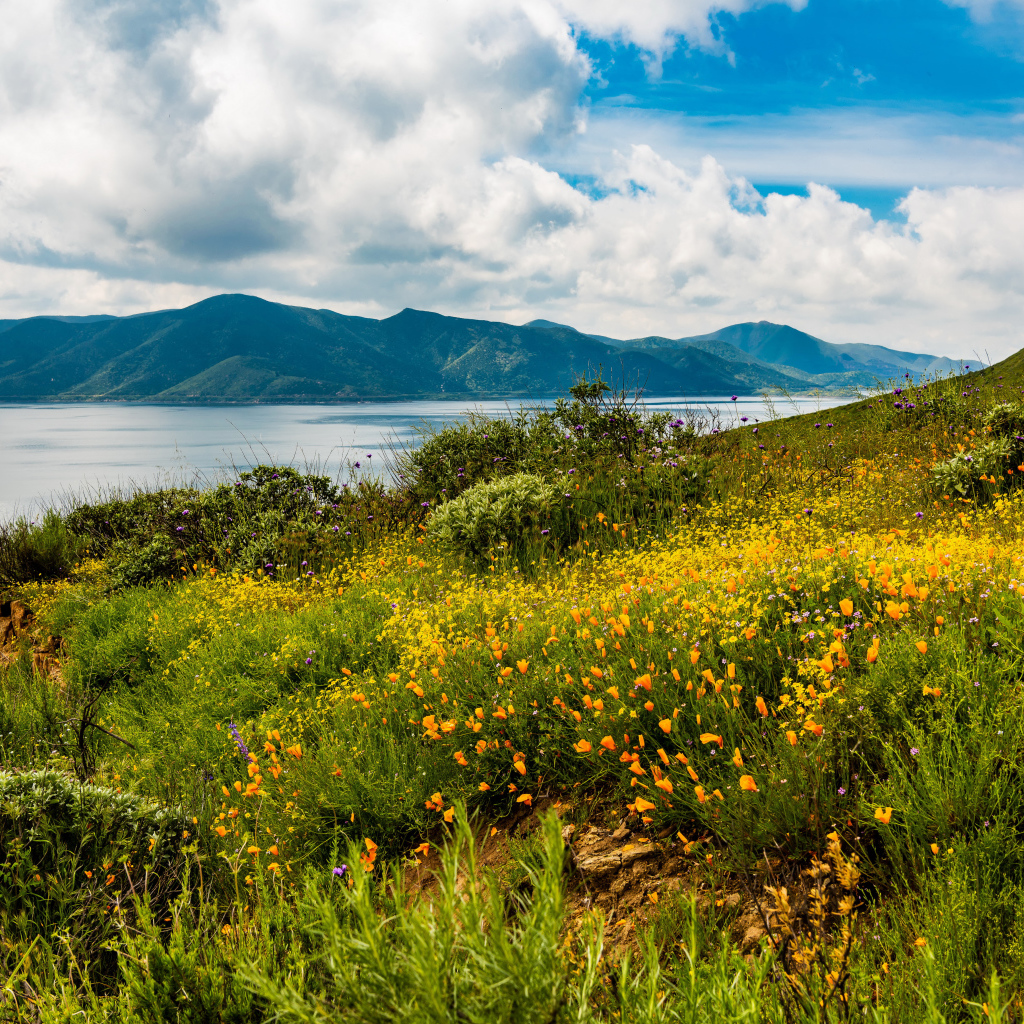 Зеленая трава на берегу озера у гор под голубым небом с облаками 