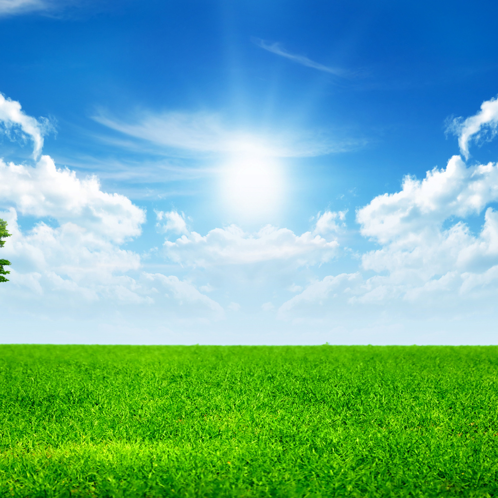 Зеленая трава под ярким солнцем в голубом небе с белыми облаками