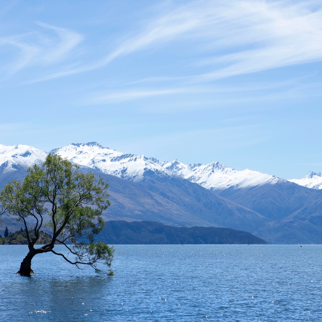 Одинокое дерево в воде на фоне гор под красивым небом