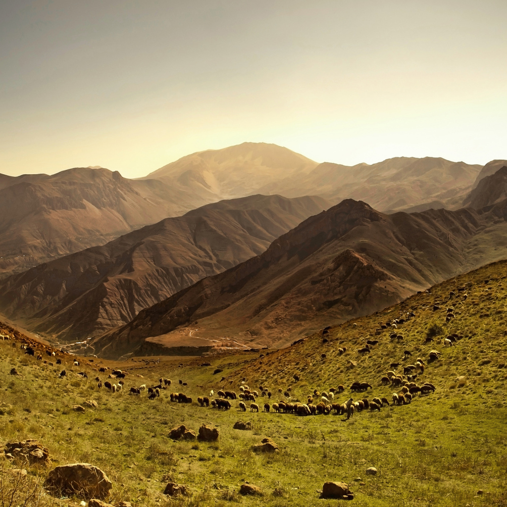 Покрытые травой холмы у гор 