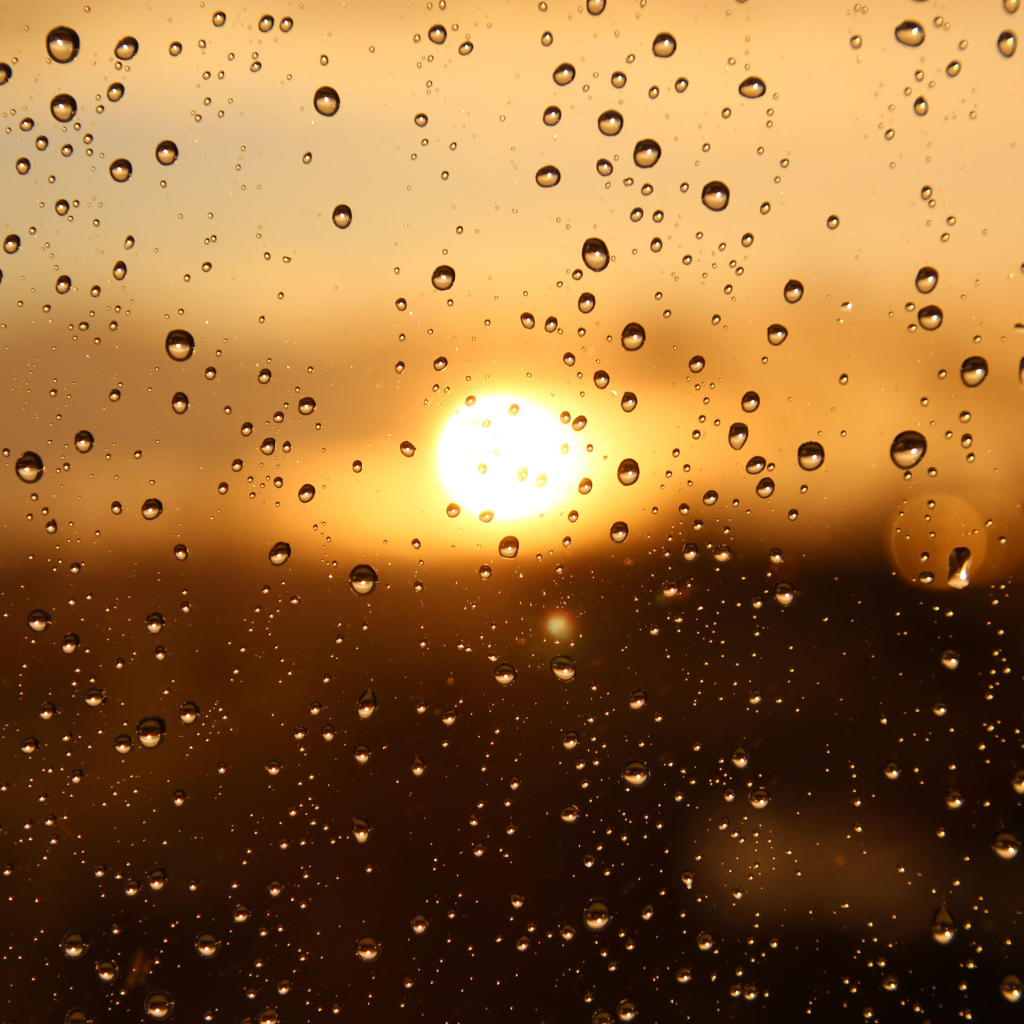 Капли дождя на стекле при свете солнца