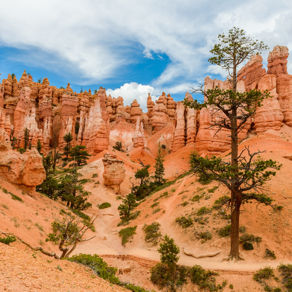 Живописный Брайс-Каньон под красивым небом, штат Юта, США