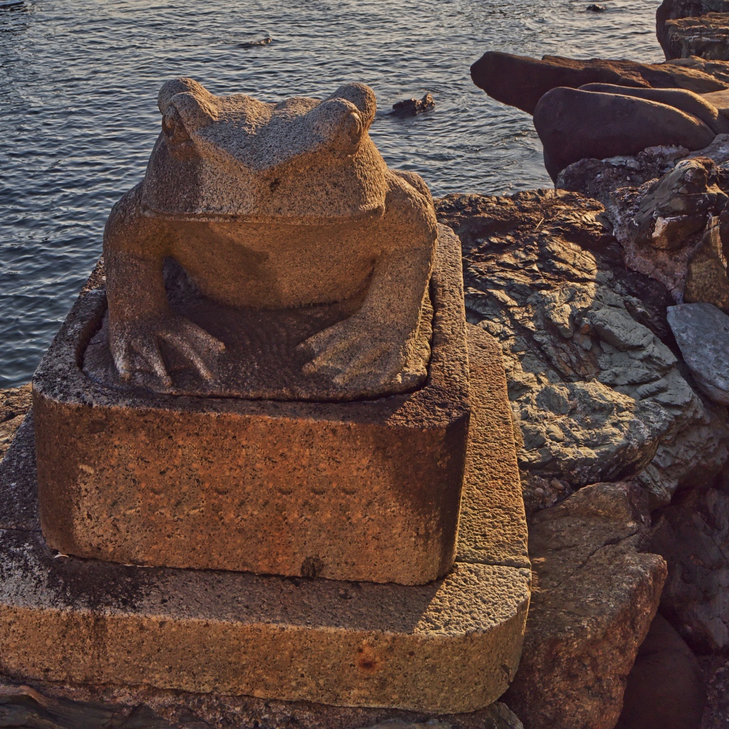 Каменная жаба на морском берегу