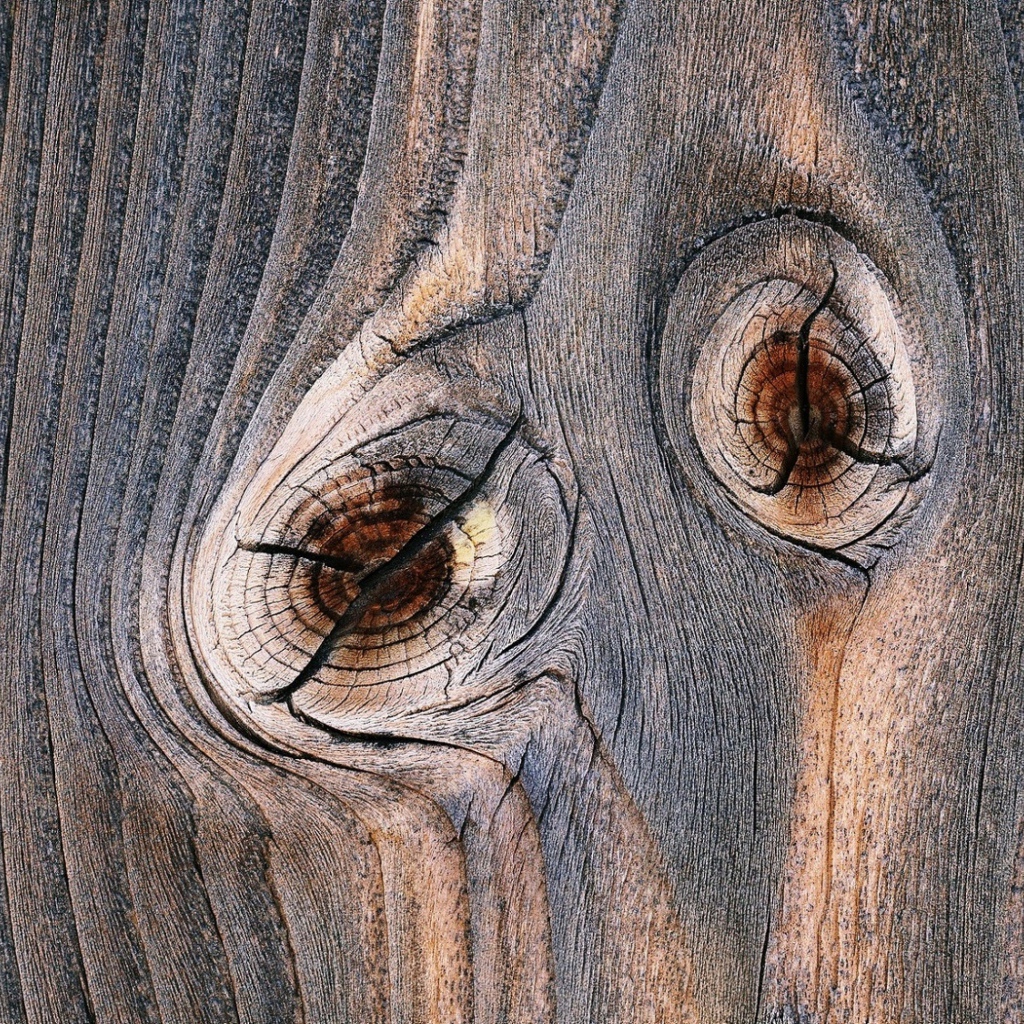 Следы от сучков с деревянной доске 