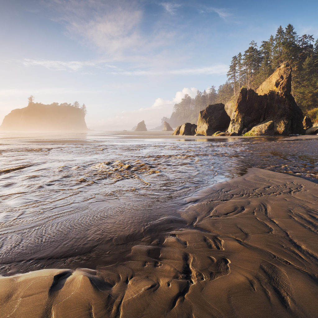 Мокрый песок на берегу у хвойного леса 