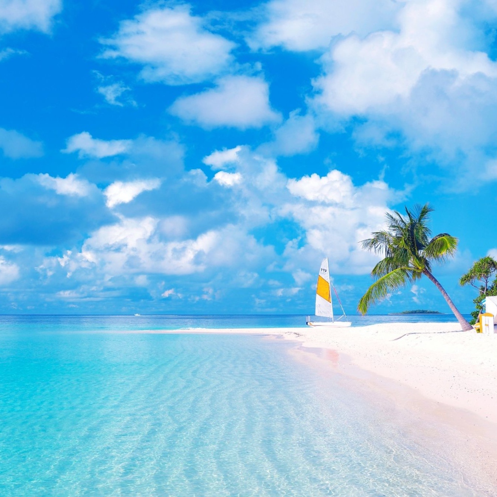 Красивый тропический пляж  с желтым песком под голубым небом