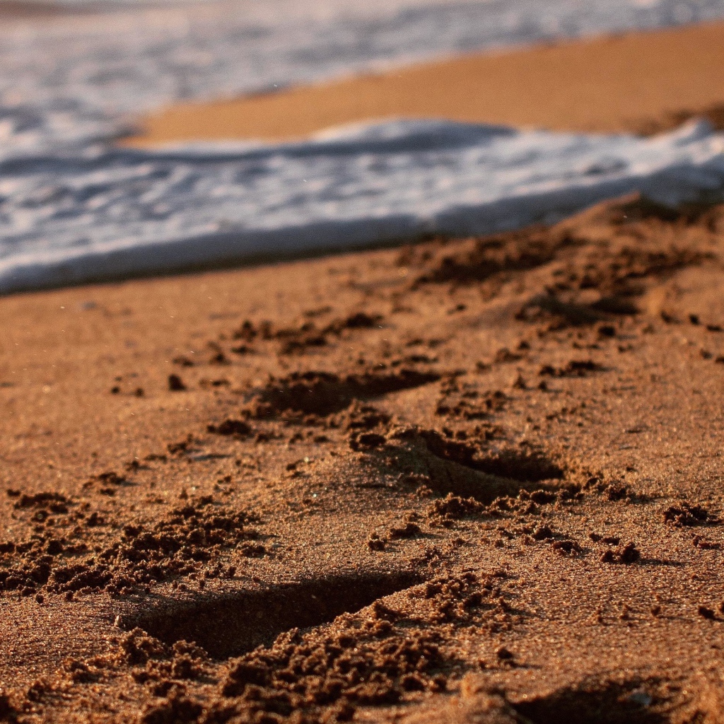 Следы на мокром морском песке с белой пеной