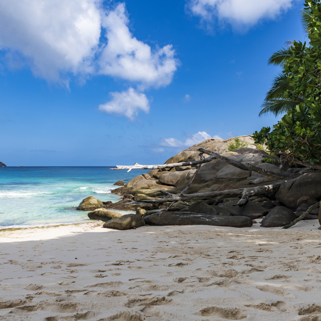 Камни на берегу океана на желтом песке под голубым небом