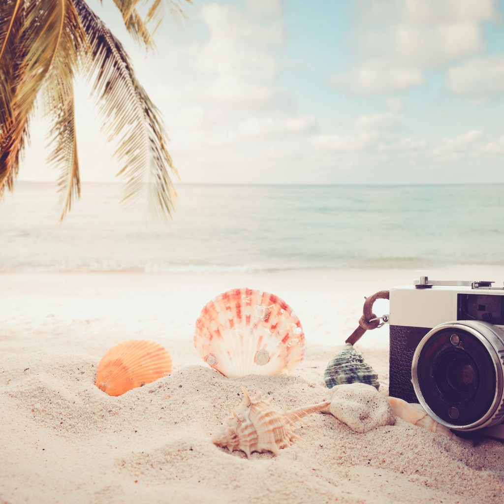 Фотоаппарат на пляже с ракушками у моря