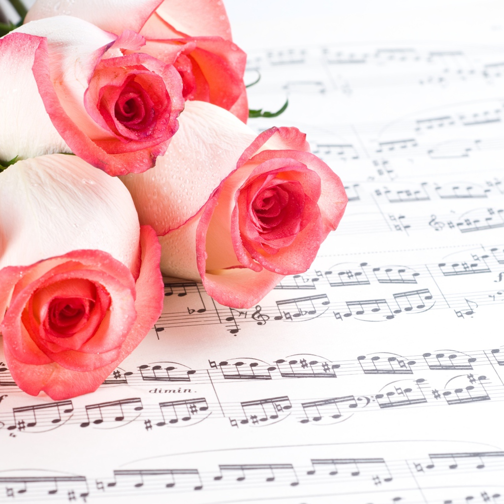 Букет розовых роз лежит на нотной тетради