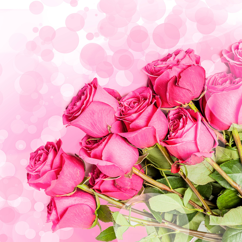 Букет розовых роз на фоне с розовыми кругами 