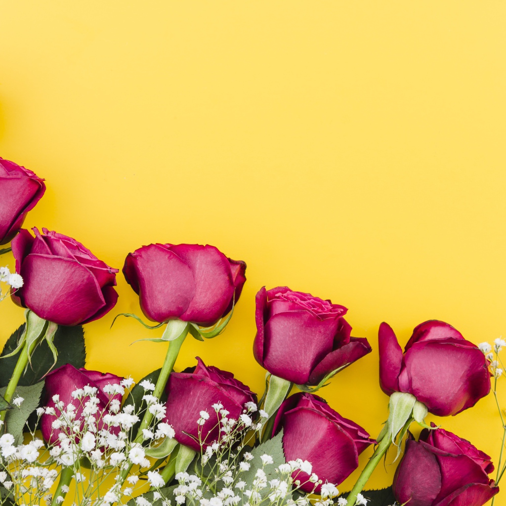 Букет роз с белыми цветами гипсофилы на желтом фоне
