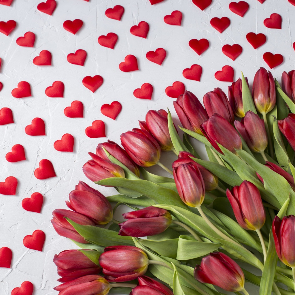 Большой букет красных тюльпанов на белом фоне с маленькими красными сердечками