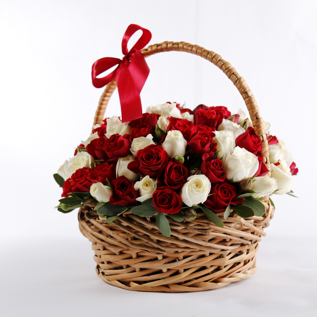 Большой букет роз в корзине в красным бантом на белом фоне