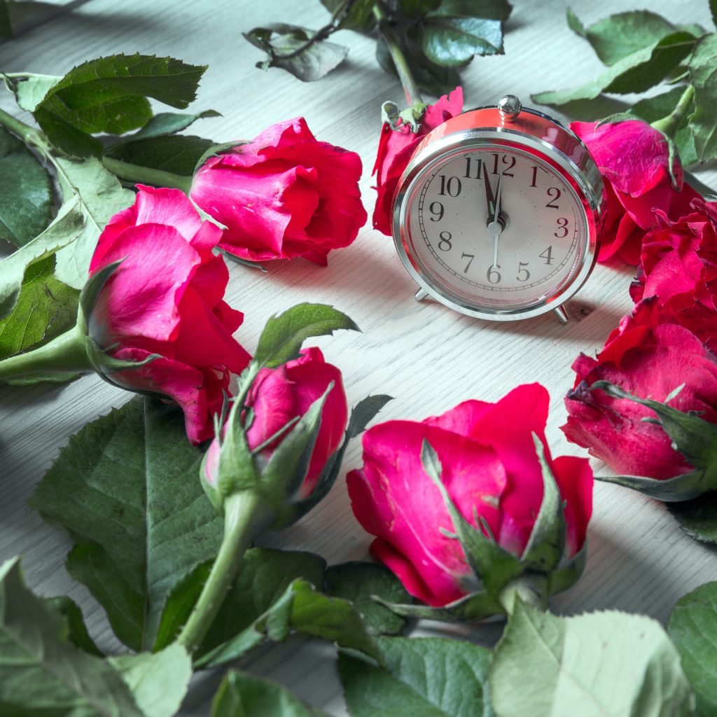 Будильник и красные розы на столе 