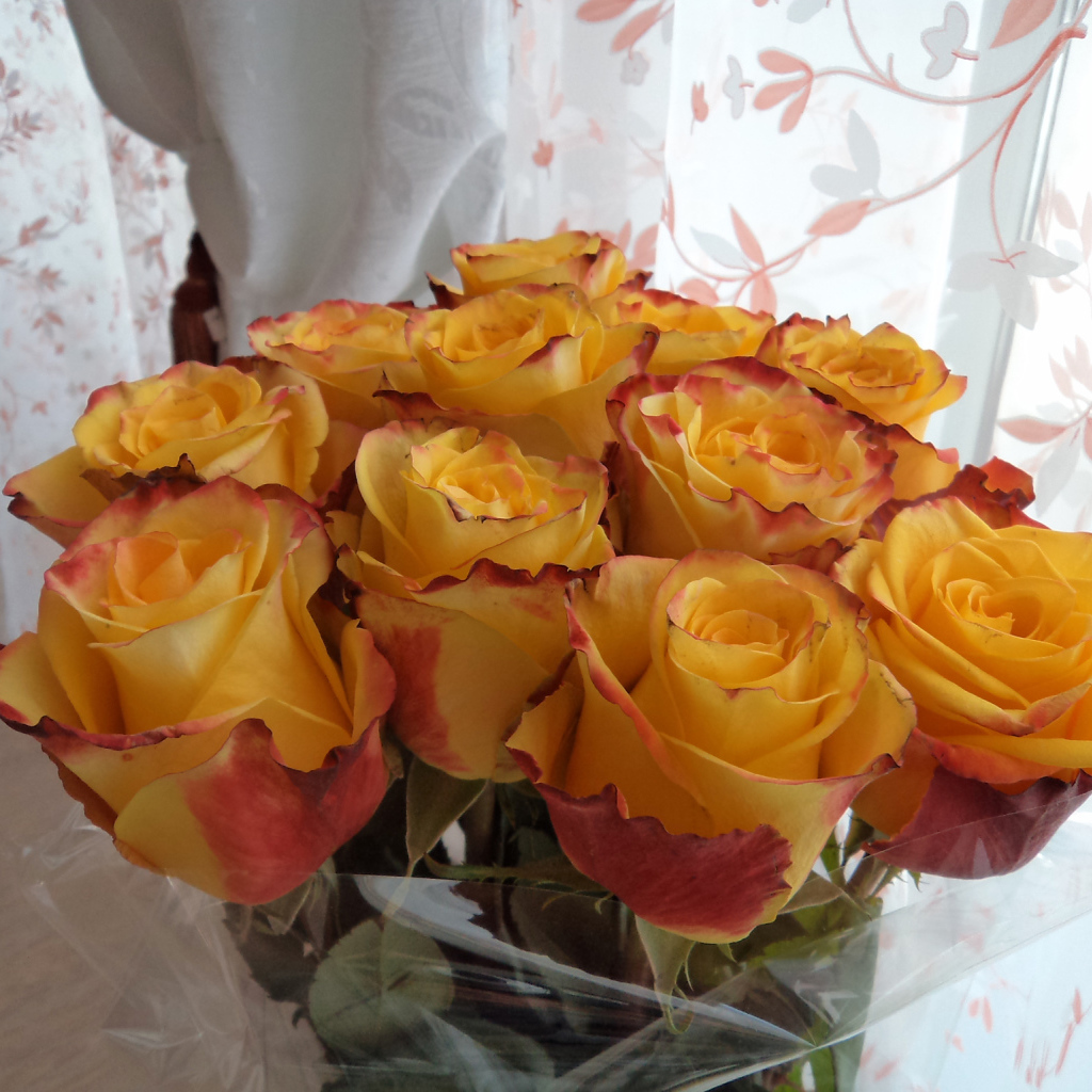 Красивый букет желтых роз в вазе у окна