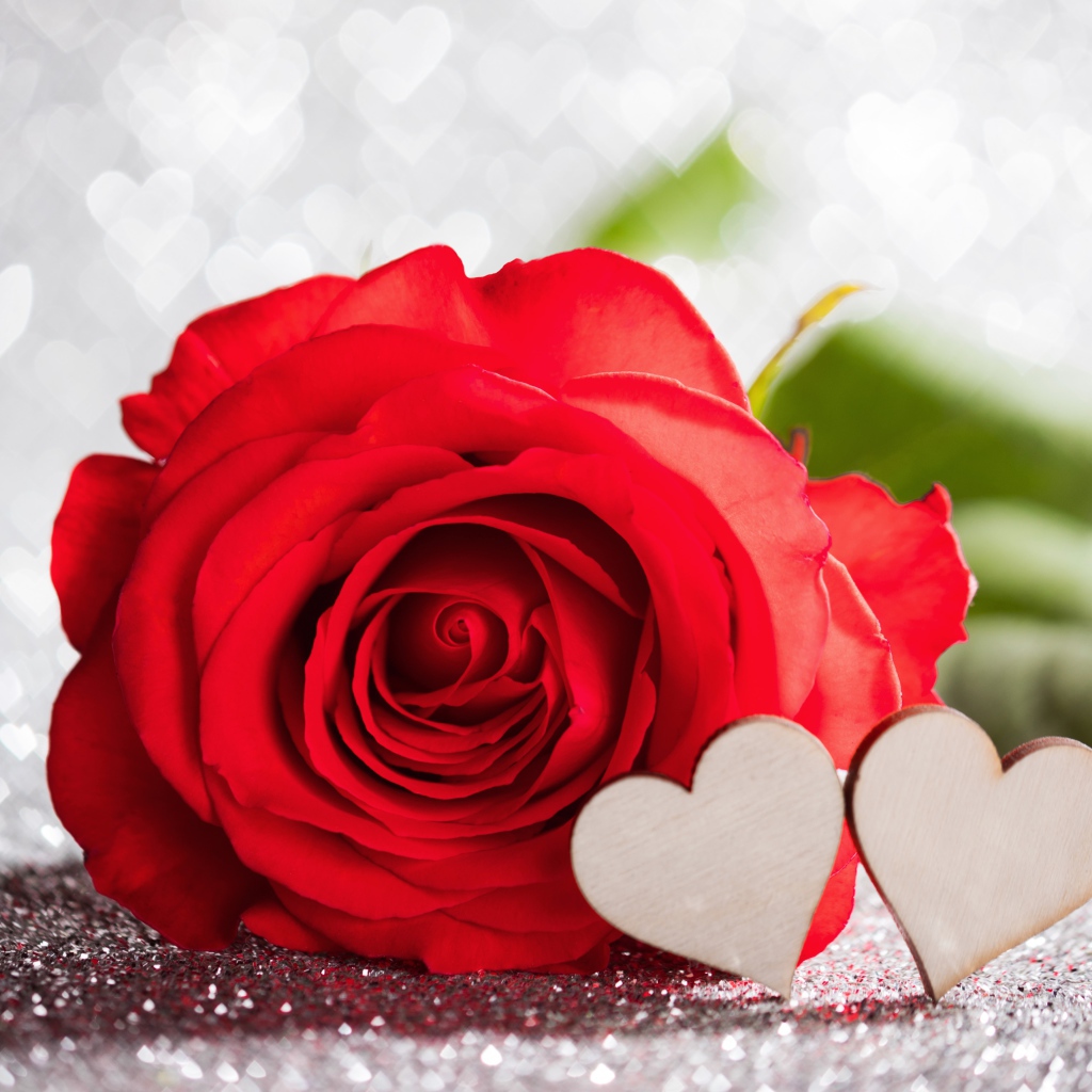 Красивая красная роза с двумя деревянными сердечками