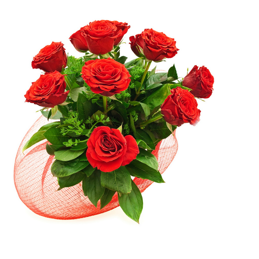 Букет красивых красных роз с зелеными листьями на белом фоне