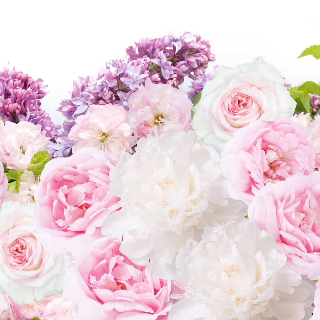 Букет пионов с сиренью на белом фоне