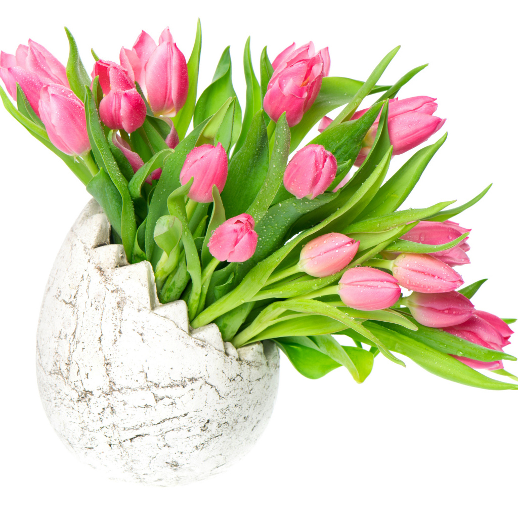 Букет розовых тюльпанов в вазе на белом фоне