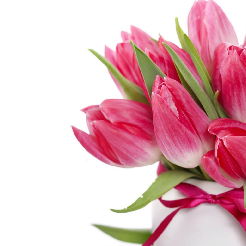 Букет розовых тюльпанов с лентой на белом фоне