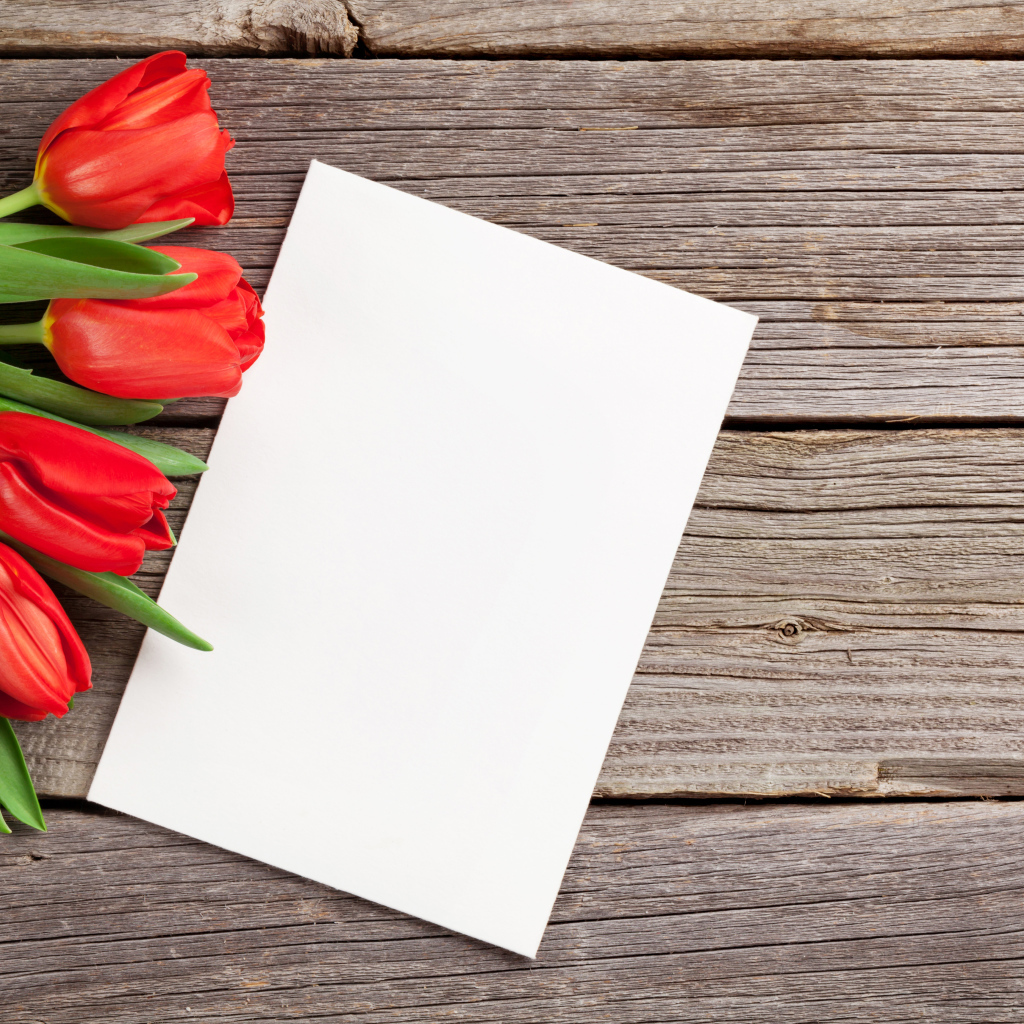 Букет красных тюльпанов с белым листом шаблон для открытки