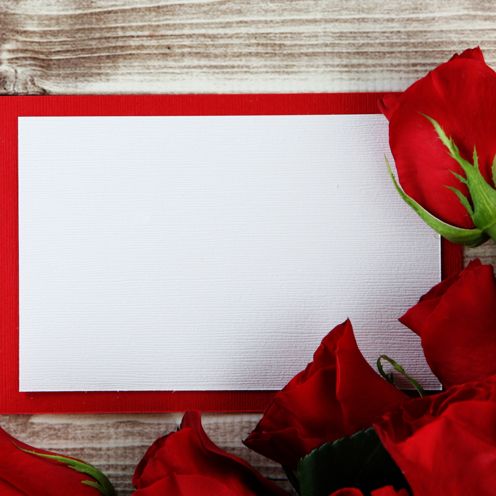 Букет роз  с листом бумаги в рамке фон для поздравительной открытки