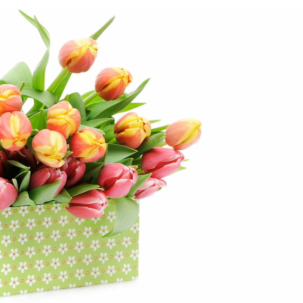 Букет нежных тюльпанов в коробке на белом фоне