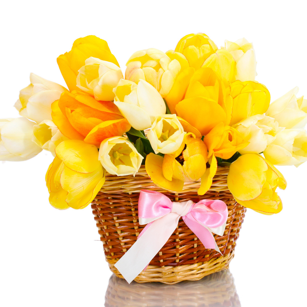 Букет желтых и белых тюльпанов в корзине с розовым бантом на белом фоне