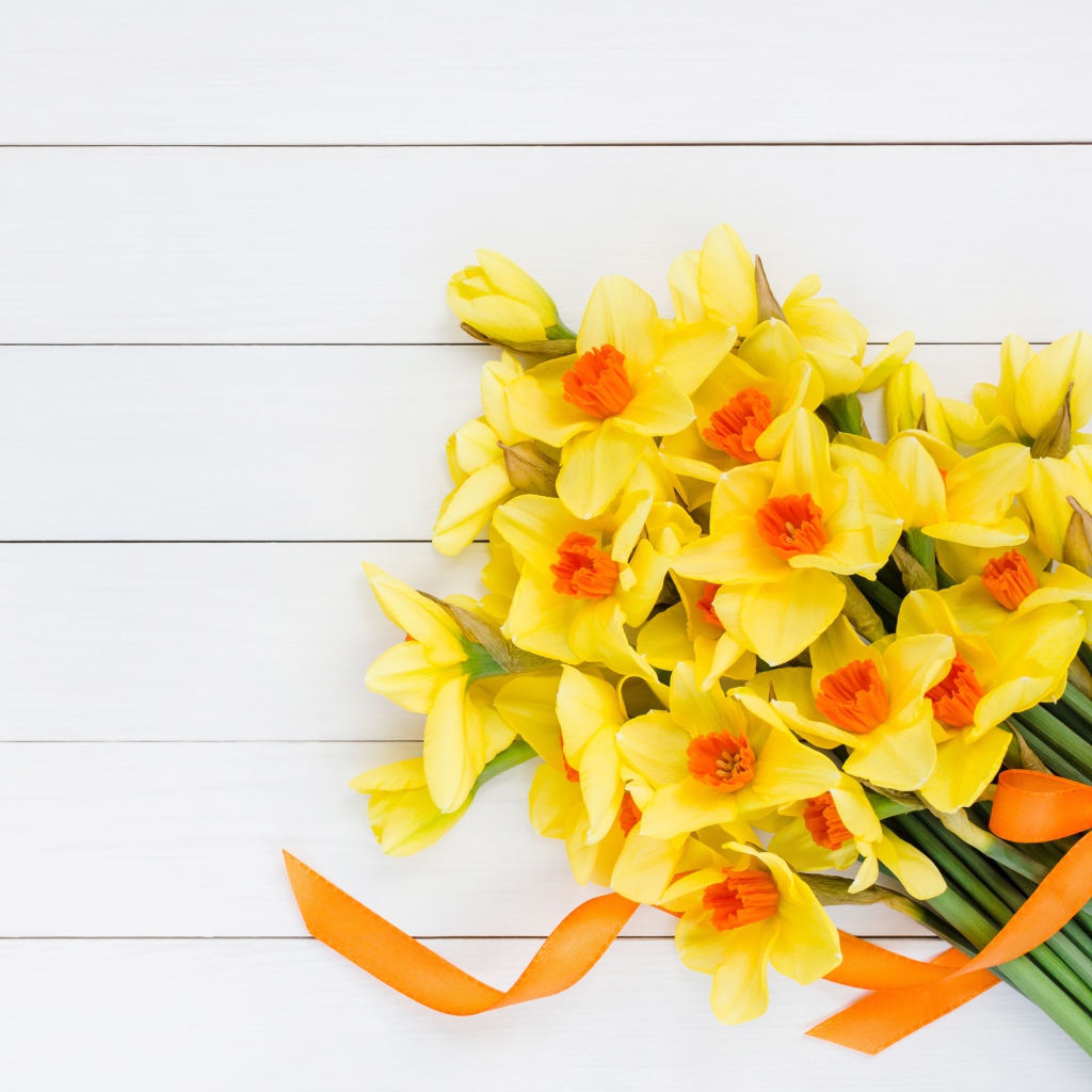 Букет желтых нарциссов с бантом на сером фоне
