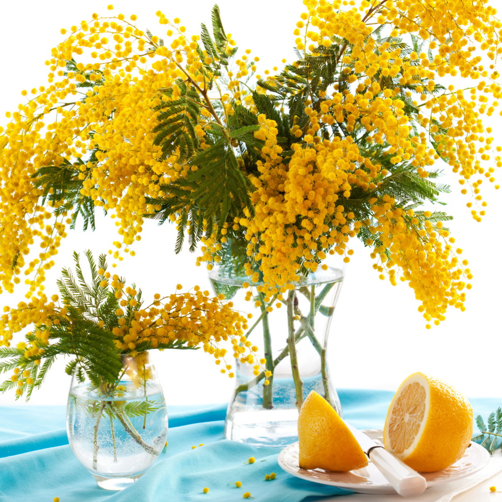 Букет желтой мимозы в вазе на столе с лимоном