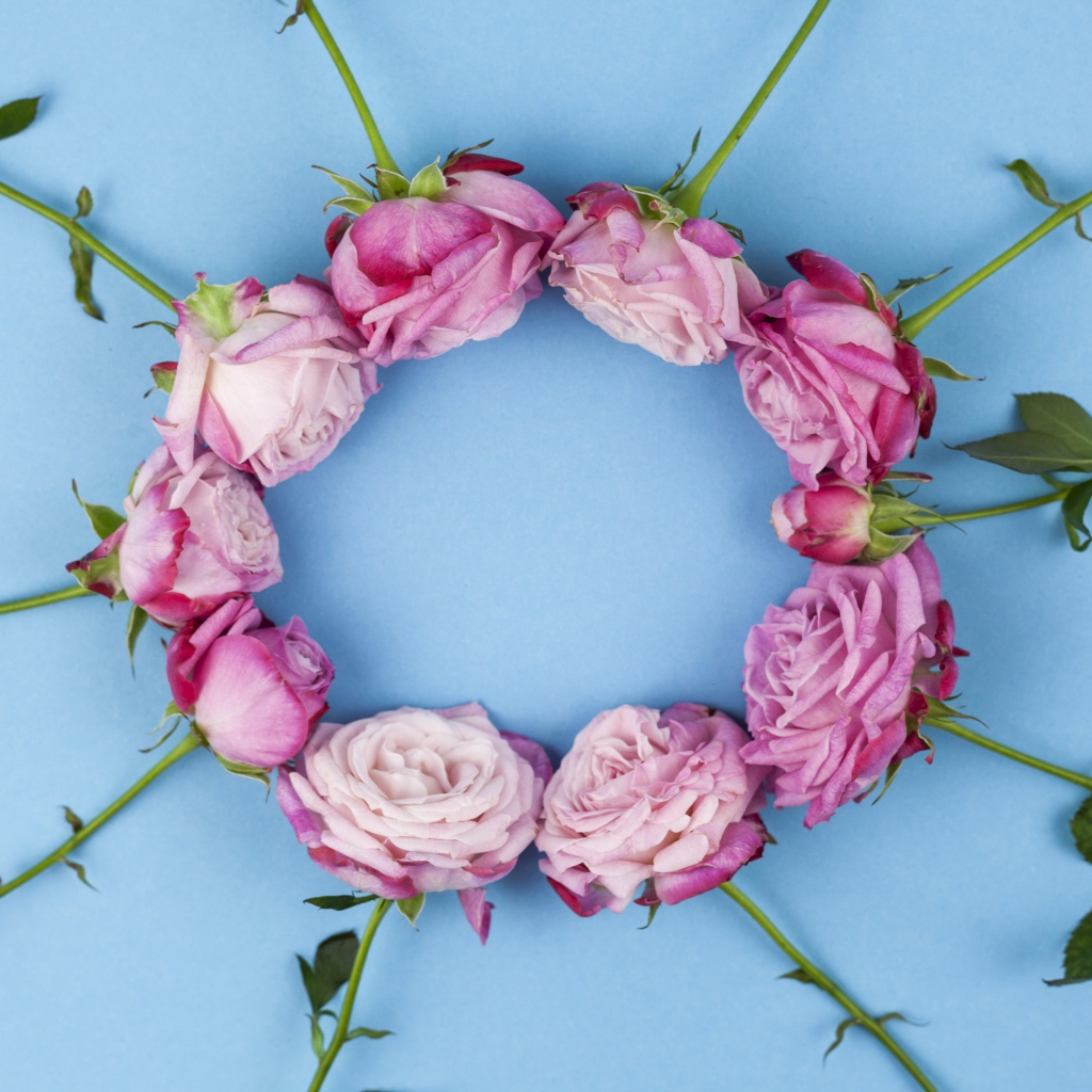 Круг из розовых роз на голубом фоне