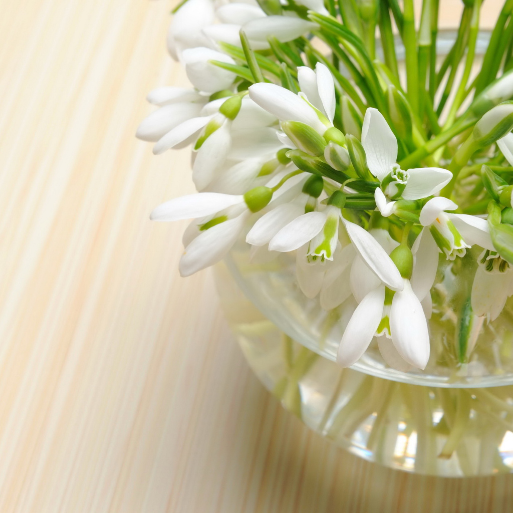 Нежные весенние первоцветы подснежники в стеклянной вазе