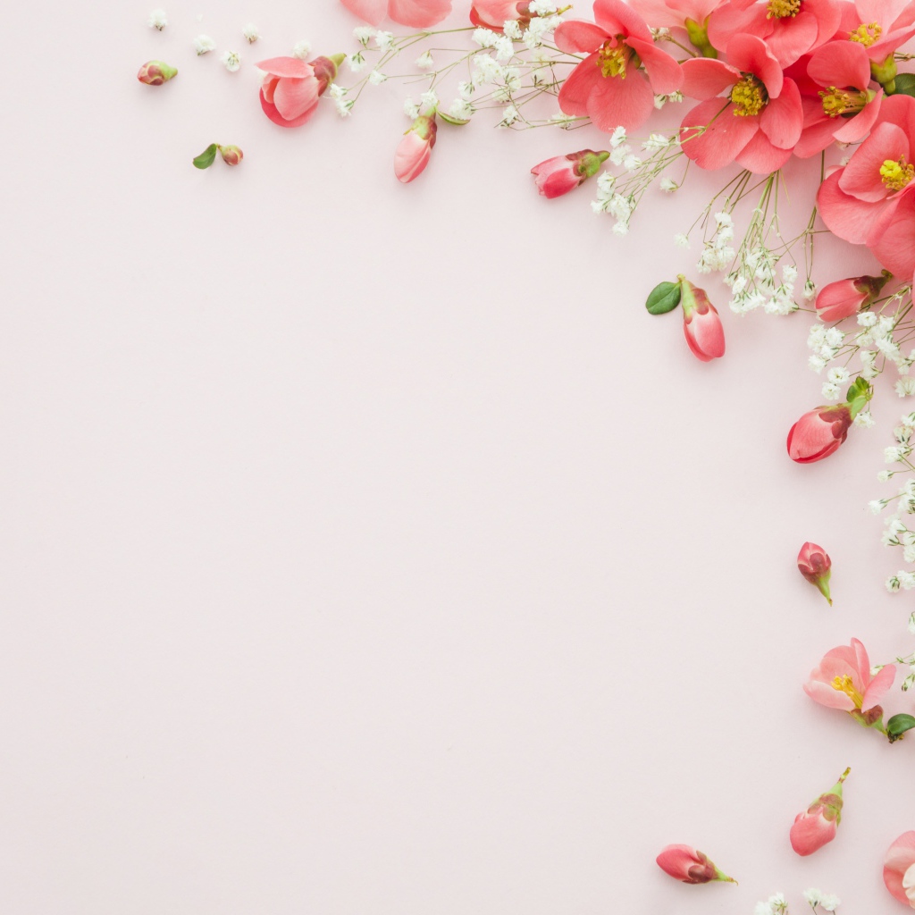 Серый фон с розовыми весенними цветами