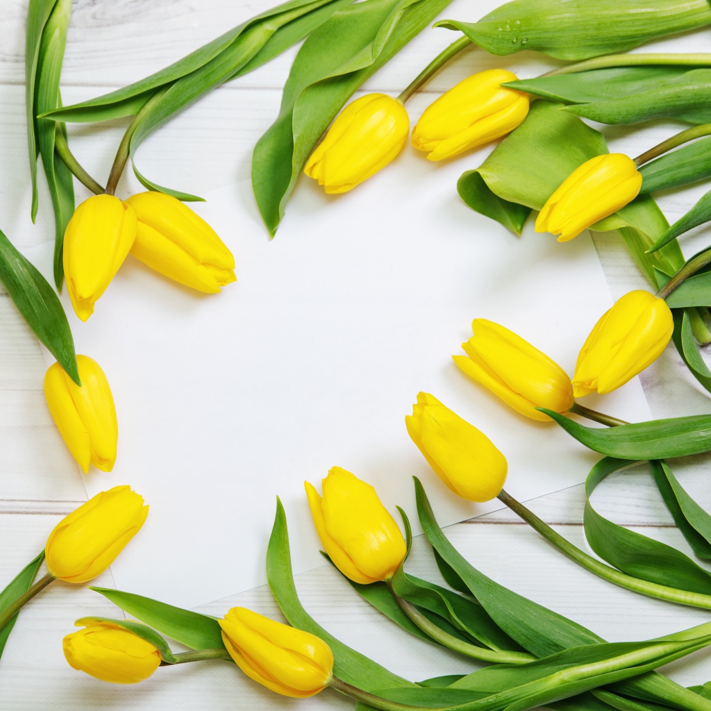 Много желтых тюльпанов с зелеными листьями на сером столе