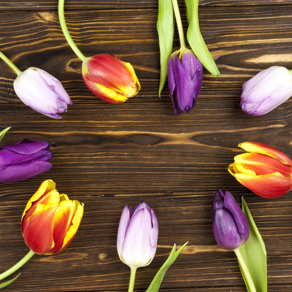 Разноцветные тюльпаны на деревянном фоне