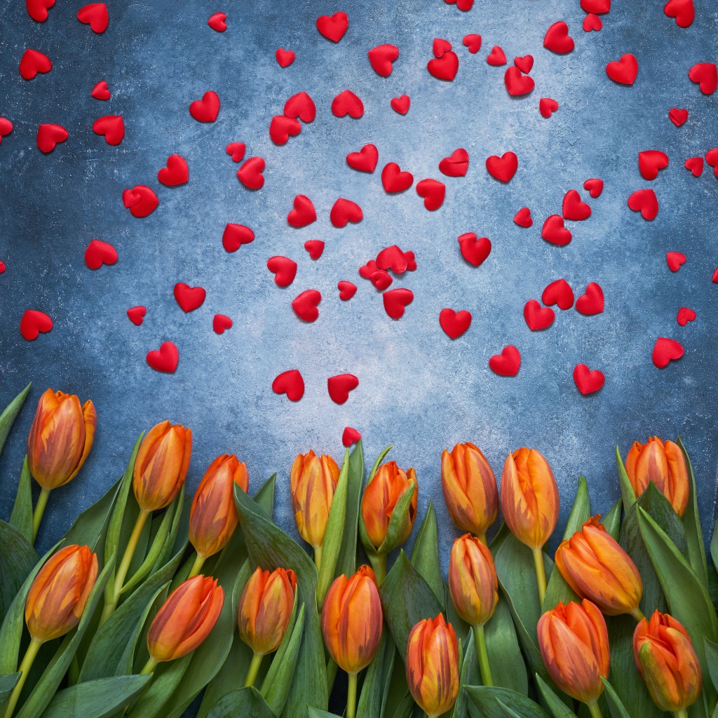 Оранжевые тюльпаны на сером фоне с красными сердечками